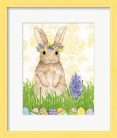 Framed Spring Bunny II