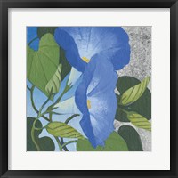 Morning Glorious II Silver Framed Print