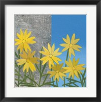 Coreopsis II Framed Print