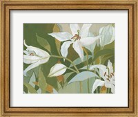 Framed Cut Flowers II