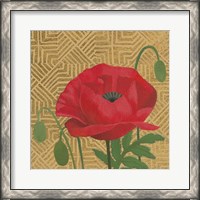 Framed 'Poppy with Pattern' border=