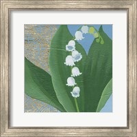 Framed Lilies of the Valley I