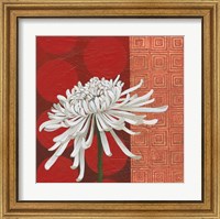 Framed 'Morning Chrysanthemum II' border=