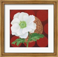 Framed Morning Anemone