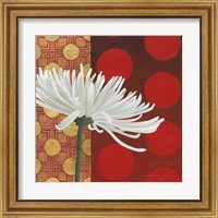 Framed 'Morning Chrysanthemum I' border=