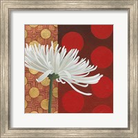 Framed 'Morning Chrysanthemum I' border=