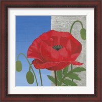 Framed 'Poppy' border=