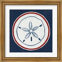 Framed 'Summer Shells I Nautical' border=