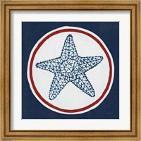 Framed 'Summer Shells IV Nautical' border=