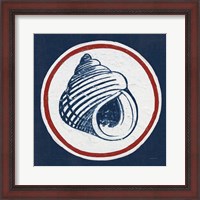 Framed 'Summer Shells III Nautical' border=