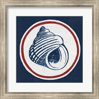 Framed 'Summer Shells III Nautical' border=