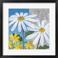 Summer Garden II Silver Framed Print