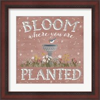 Framed 'Blooming Garden VII' border=