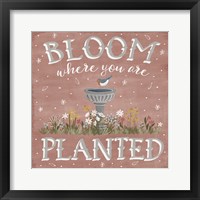 Framed 'Blooming Garden VII' border=