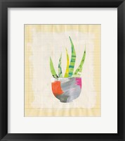 Framed Collage Cactus VIII