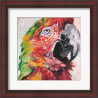 Framed 'Parrot I' border=