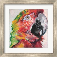 Framed 'Parrot I' border=