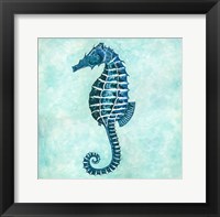 Seahorse Framed Print