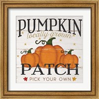 Framed 'Pumpkin Patch' border=