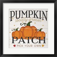 Framed 'Pumpkin Patch' border=