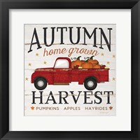 Autumn Harvest Framed Print