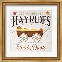 Framed 'Hayrides' border=