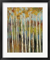 Young Forest I Framed Print