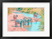 Framed Waterhole Rendezvous II