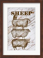 Framed Sheep