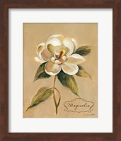 Framed December Magnolia Vintage