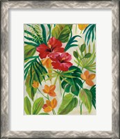 Framed 'Tropical Jewels II' border=