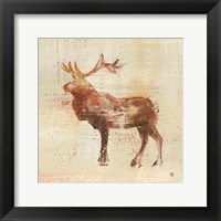 Framed Elk Study