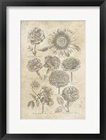 Eden Antique Bookplate II Framed Print