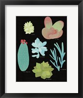 Succulent Chart II Framed Print