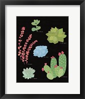 Succulent Chart IV Framed Print