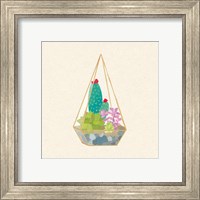 Framed 'Succulent Terrarium II' border=