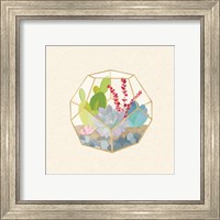 Framed 'Succulent Terrarium III' border=