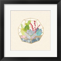 Succulent Terrarium III Framed Print