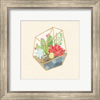 Framed 'Succulent Terrarium IV' border=