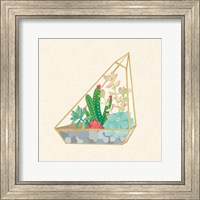 Framed 'Succulent Terrarium V' border=