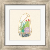 Framed 'Succulent Terrarium VI' border=