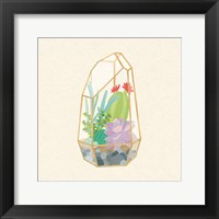 Succulent Terrarium VI Framed Print