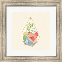 Framed 'Succulent Terrarium VII' border=