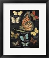 Botanical Butterflies Postcard II Black Framed Print