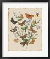 Butterfly Bouquet I Linen Framed Print