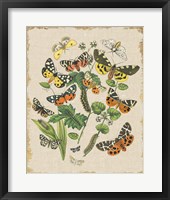 Butterfly Bouquet IV Linen Framed Print