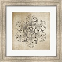 Framed 'Rosette V Neutral' border=