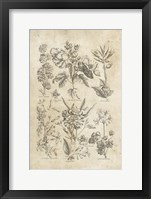 Eden Antique Bookplate IV Framed Print