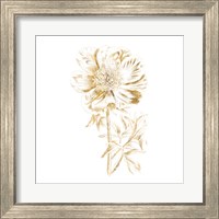 Framed 'Gilded Botanical VIII Sq' border=