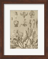 Framed Rhododendrons